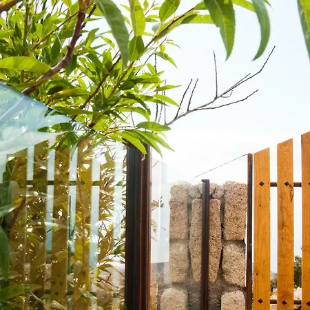 Marcela&joaquin Mountain House Fasnia